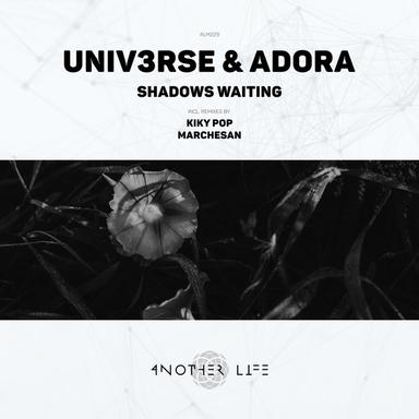 Shadows Waiting - Kiky Pop Remix