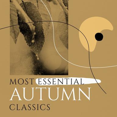 Piano Concerto No. 20 in D Minor, K. 466: III. Rondo: Allegro assai
