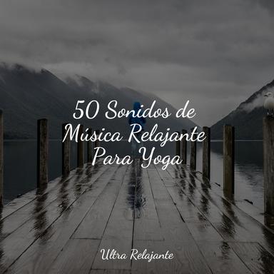 Maravillas Del Oasis