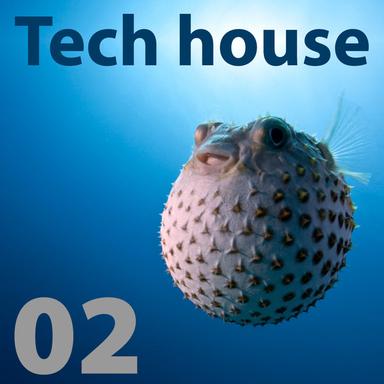 Fingers On The Buzzers (Tim Sheridan Mix)