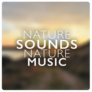 Sound of the Stream