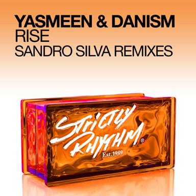 Rise (Sandro Silva Instrumental)