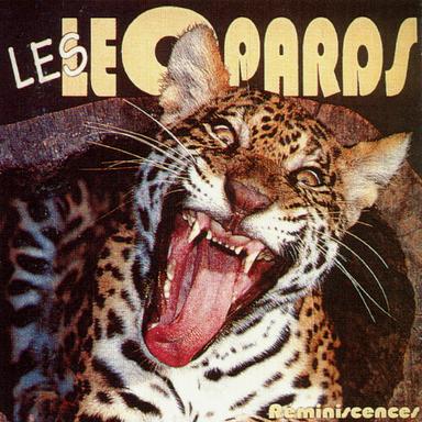 LL