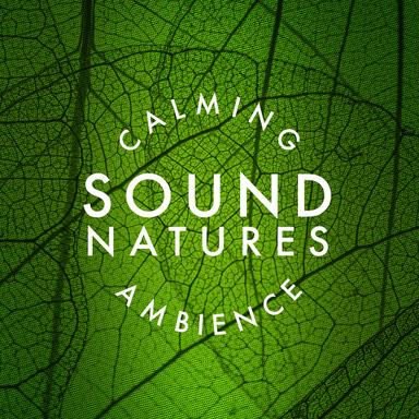 Sweet Sounding Birds