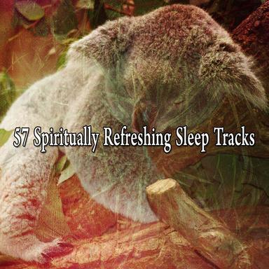 Deep Sleep