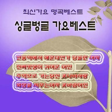 석류의 계절
