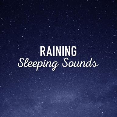Low Birds and Rain