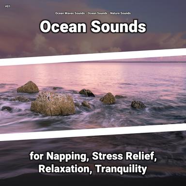 Ocean Sounds for Noise Reduction
