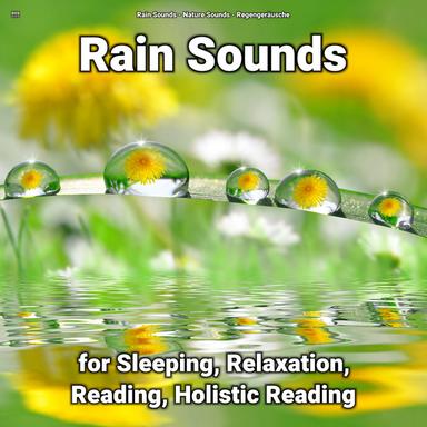 Tranquilizing Ambient Rain Sounds