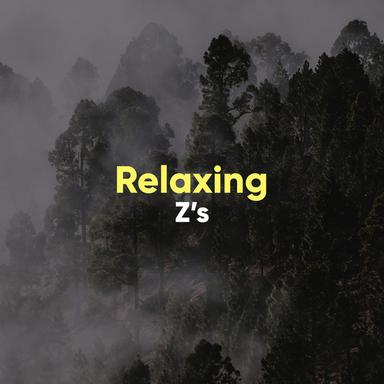 Sleeping in the Forest