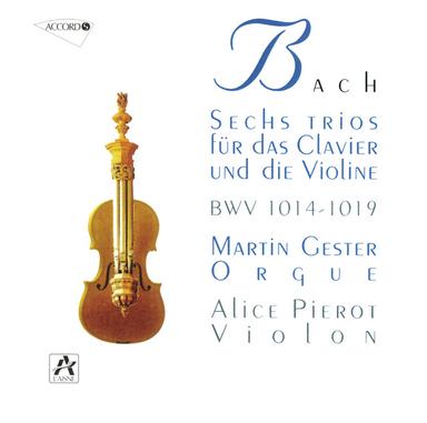 Violin Sonata in G Major, BWV 1019a: 3. Cantabile, ma un poco Adagio