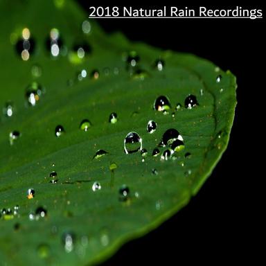 Rain for Sleeping