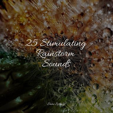 Soothing Ocean Sounds