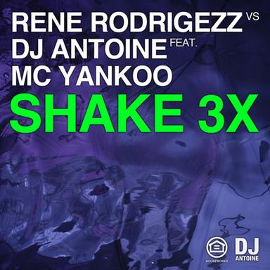 Shake 3x - 2k12 Extended Mix