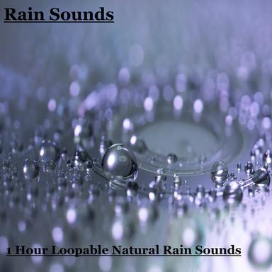 Heavy Rainforest Shower