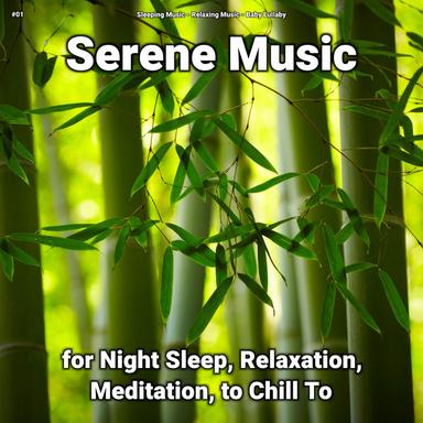 Study Music