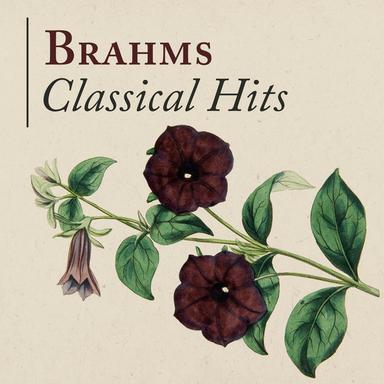 Symphony No. 1 in C Minor, Op. 68: IV. Adagio - Piu andante - Allegro non troppo, ma con brio - Piu allegro