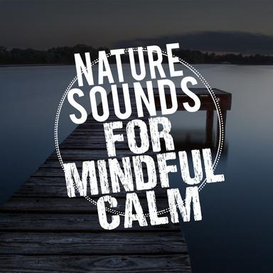 Calm Flow