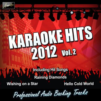 Karaoke - Hits 2012 Vol. 2