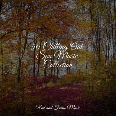 Majestic Melodies