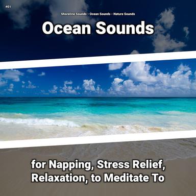 Metta Meditation