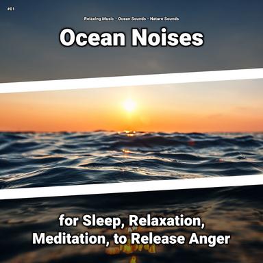 Brave Beach Sounds