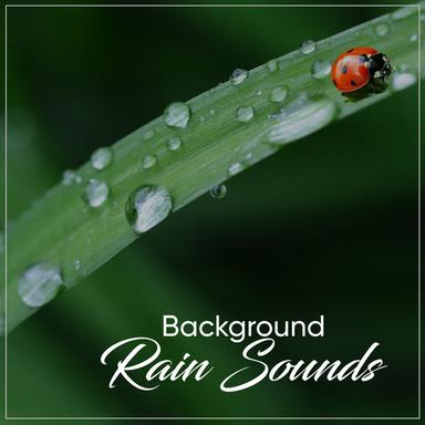 Rain Sound: Steady Showers