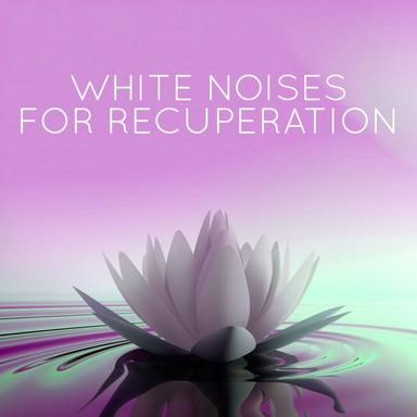 White Noise: Stereo Kettle