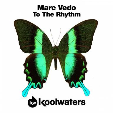 To The Rhythm - Original Mix