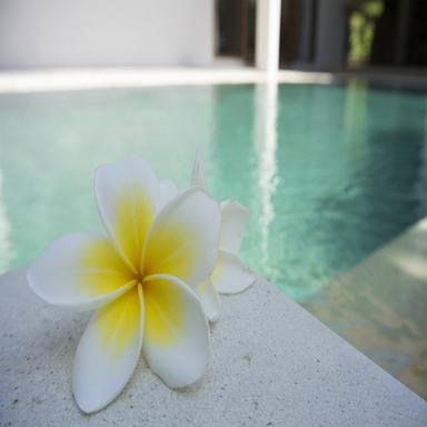 Spa Paradise