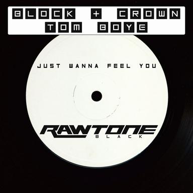 Just Wanna Feel You