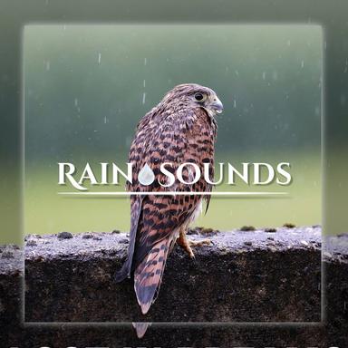 Rain On Me