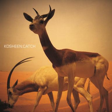 Catch - Ferry Corsten Vocal Mix
