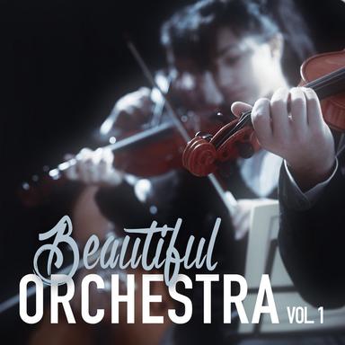 Essence of Beauty