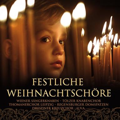 Harpsichord Concerto No. 5 in F Minor, BWV 1056: II. Largo - Arr. for Flute and Harp