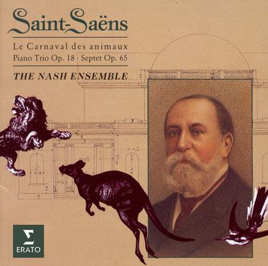 Saint-Saëns: Le Carnaval des Animaux, R. 125: XIII. Le Cygne (Andantino grazioso)