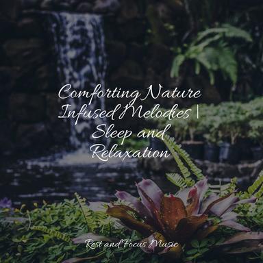 Restful Dreams