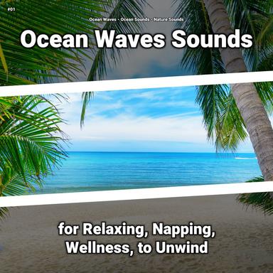 Wave Sounds for Mindfulness