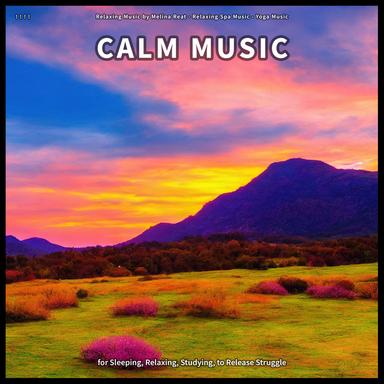 Sleep Music