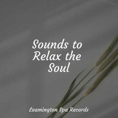 Anxiety Relief