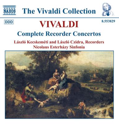 Concerto per flauto in C Minor, RV 441: II. Largo