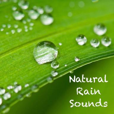 Relaxing Rainfall