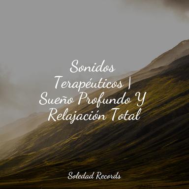 Ayudando A Otros