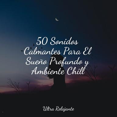 Momentos Mágicos