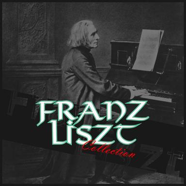 Piano Sonata in B Minor, S. 178: Andante sostenuto
