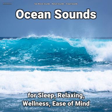 Sea Noises