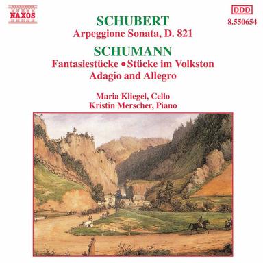 Arpeggione Sonata in A Minor, D. 821: I. Allegro moderato