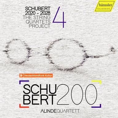 String Quartet No. 3 in B-Flat Major, D. 36: II. Andante