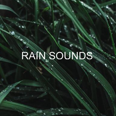 Rain Sounds for Sleeping 8 Hours