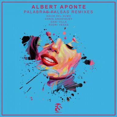 Palabras Falsas - David Del Olmo Remix